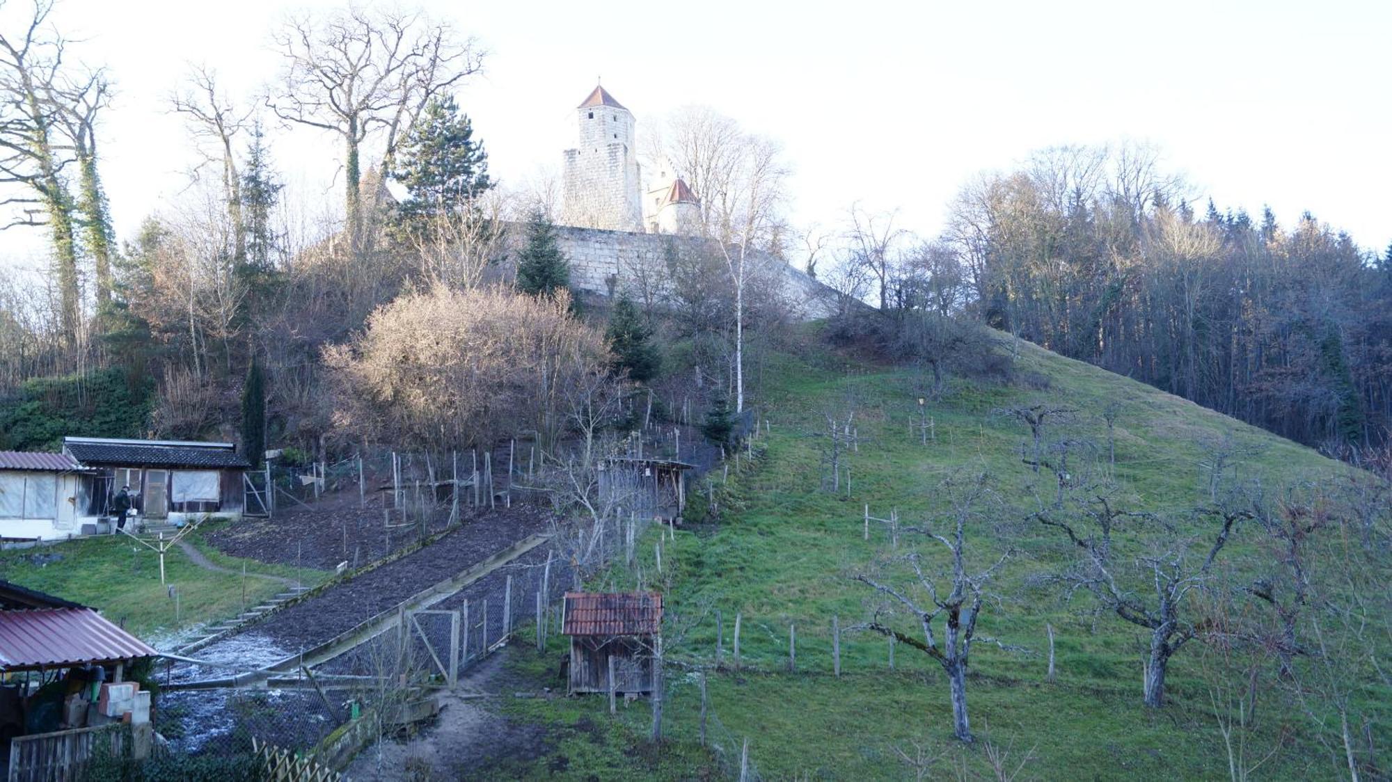 Landgasthof Falken Huttlingen Стая снимка